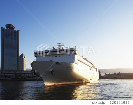 朝日を浴びる サンフラワーむらさき 朝日を浴びる サンフラワーむらさき 120531935