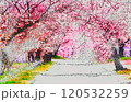 桜並木 120532259