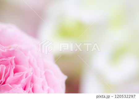 フラワー背景イメージ　(写真素材) 120532297