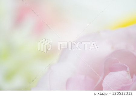 フラワー背景イメージ　(写真素材) 120532312