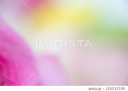 フラワー背景イメージ　(写真素材) 120532330