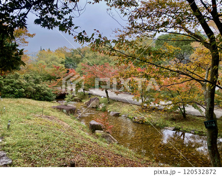 香川用水記念公園の紅葉 120532872