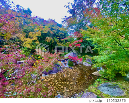 香川用水記念公園の紅葉 香川用水記念公園の紅葉 120532876
