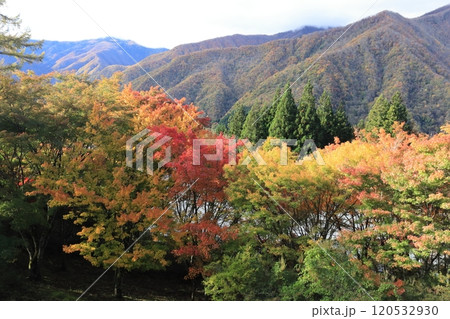 三峯神社からの山々 三峯神社からの山々 120532930