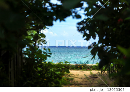 沖縄　緑のトンネルの先に青い海 120533054