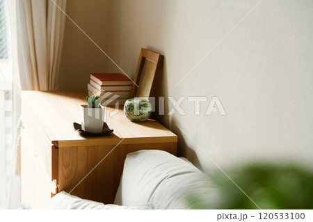 空間を飾る観葉植物 120533100