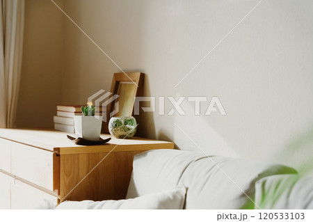 空間を飾る観葉植物 120533103