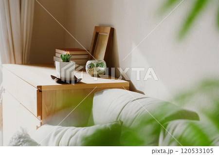 空間を飾る観葉植物 120533105