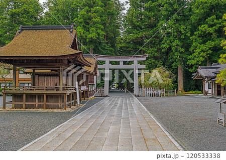 静岡 遠州一間宮小国神社 境内の風景 120533338