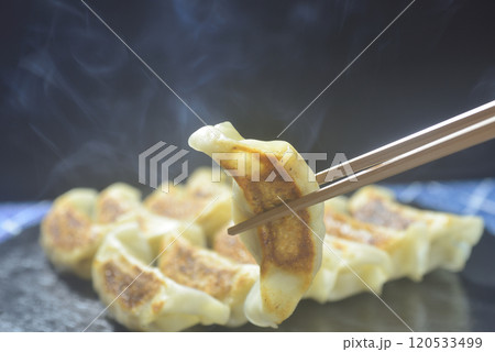 湯気の立つ焼きたて餃子 120533499
