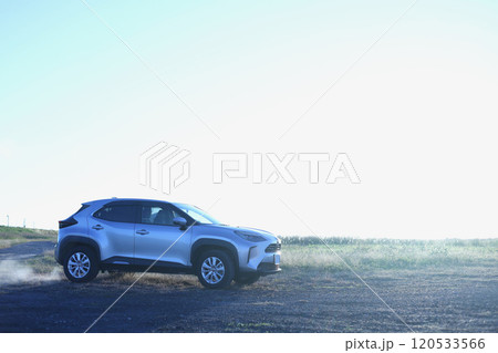 シルバー色の自動車 120533566