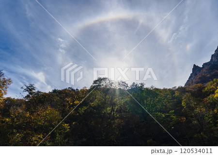 太陽を囲む日暈（ひがさ）と両側に現れた幻日【大気光学現象】群馬県2024.10.31 120534011