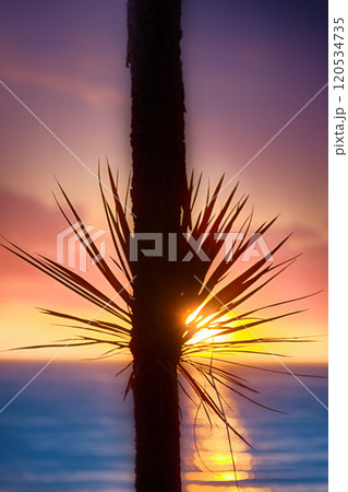 Warm sea, tropical sunset and carved palm leaves. Warm sea, tropical sunset and carved palm leaves. 120534735