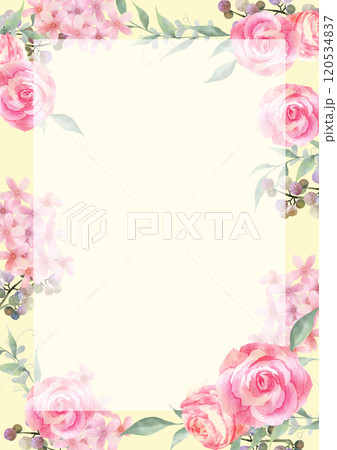 水彩で描いたピンクの薔薇の背景 四角フレーム付き 水彩で描いたピンクの薔薇の背景 四角フレーム付き 120534837