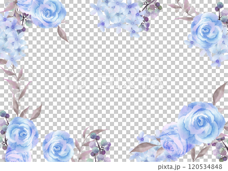 水彩藍玫瑰與花框白色背景 120534848