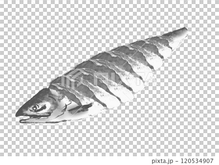 Monotone illustration of a freshly rolled salmon drawn in watercolor on a white background, transparent background 120534907