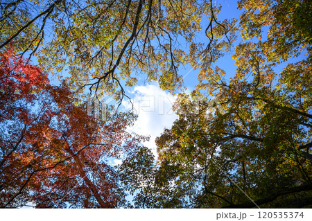 昇仙峡 紅葉 山梨県 甲府市 観光 秋 11月 素材 昇仙峡 紅葉 山梨県 甲府市 観光 秋 11月 素材 120535374