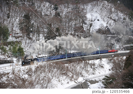 上越線 上牧-水上 JR東日本 C61-20+12系+DD51-842(高崎) SLスノーパーク 上越線 上牧-水上 JR東日本 C61-20+12系+DD51-842(高崎) SLスノーパーク 120535466