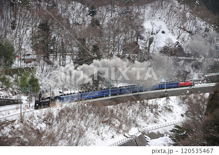 上越線 上牧-水上 JR東日本 C61-20+12系+DD51-842(高崎) SLスノーパーク 上越線 上牧-水上 JR東日本 C61-20+12系+DD51-842(高崎) SLスノーパーク 120535467