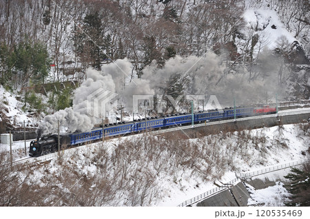 上越線　上牧－水上　JR東日本　C61-20+12系+DD51-842（高崎）　SLスノーパーク 120535469