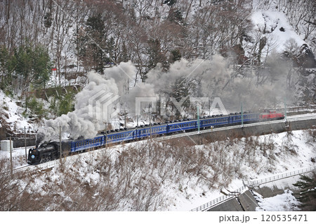上越線 上牧-水上 JR東日本 C61-20+12系+DD51-842(高崎) SLスノーパーク 上越線 上牧-水上 JR東日本 C61-20+12系+DD51-842(高崎) SLスノーパーク 120535471