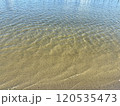 水辺の景色 120535473