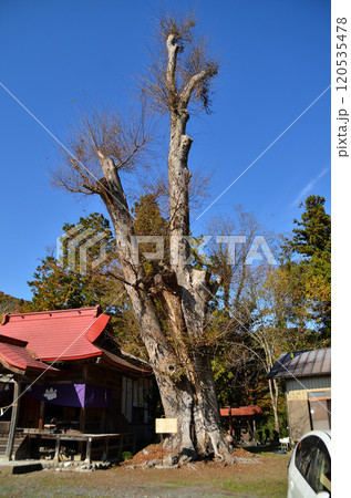 埼玉県秩父市太田の太田熊野神社 120535478