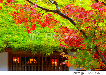 美しい香嵐渓の紅葉　 三州足助屋敷周辺 120535606