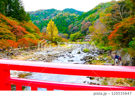 カラフルな色で染まる 香嵐渓の紅葉 カラフルな色で染まる 香嵐渓の紅葉 120535647