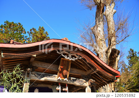 埼玉県秩父市太田の太田熊野神社 120535892