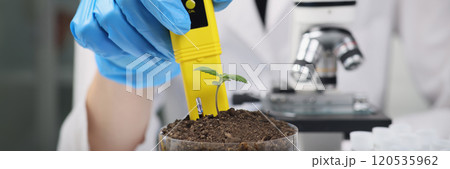 Woman scientist examines soil PH in container with cannabis 120535962