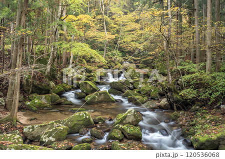 福島県矢祭町　秋の滝川渓谷 120536068