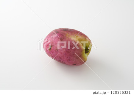 ムベの果実　イメージ 120536321