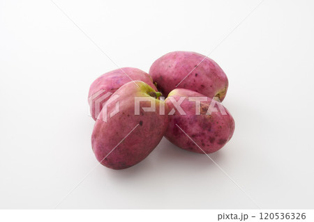 ムベの果実 イメージ ムベの果実 イメージ 120536326