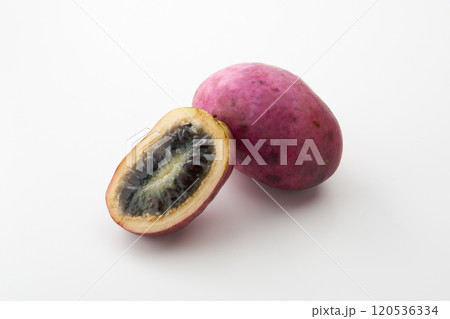 ムベの果実 イメージ ムベの果実 イメージ 120536334