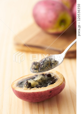 ムベの果実　イメージ 120536350