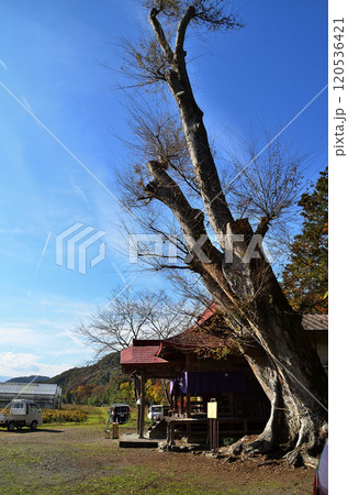 埼玉県秩父市太田の太田熊野神社 120536421