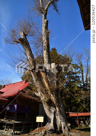 埼玉県秩父市太田の太田熊野神社 埼玉県秩父市太田の太田熊野神社 120536427