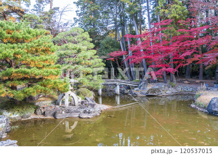 日本庭園の紅葉　宮城県仙台市 120537015