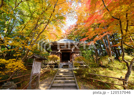 秋深まる中尊寺 峯薬師堂 岩手県 秋深まる中尊寺 峯薬師堂 岩手県 120537046