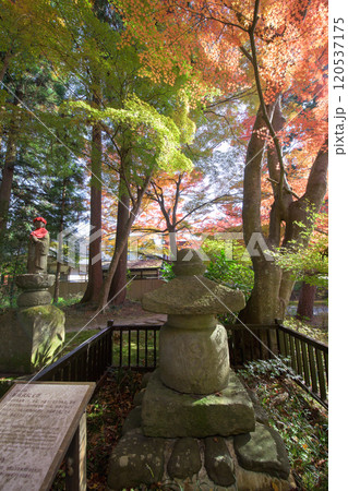 中尊寺　峯薬師堂脇に建つ宝塔　重要文化財　岩手県 120537175