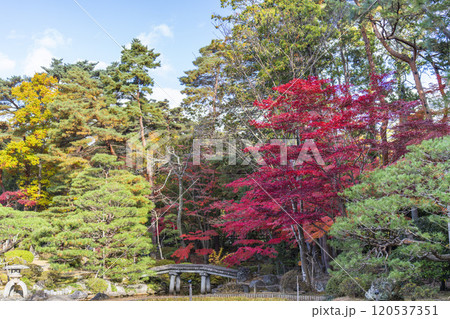 晩秋の日本庭園 紅葉 晩秋の日本庭園 紅葉 120537351