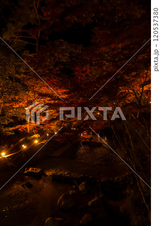 岩屋堂公園のライトアップされた紅葉とせせらぎ 岩屋堂公園のライトアップされた紅葉とせせらぎ 120537380