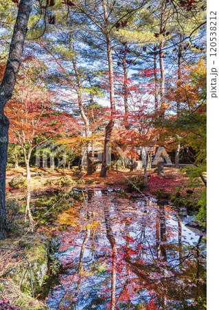 秋の天守閣自然公園 日本庭園の水鏡と紅葉 宮城県仙台市 秋の天守閣自然公園 日本庭園の水鏡と紅葉 宮城県仙台市 120538212
