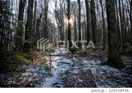 Seasonal natural scene, Kremnica Mountains, Slovakia 120538436