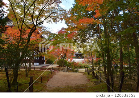 秋の風物詩 秋の風物詩 120538555