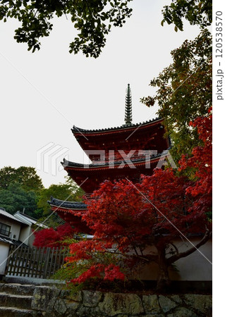 秋の風物詩 秋の風物詩 120538570