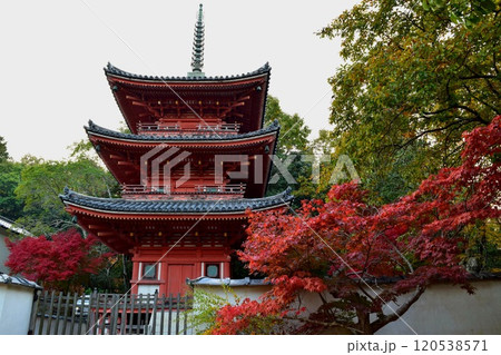 秋の風物詩 秋の風物詩 120538571