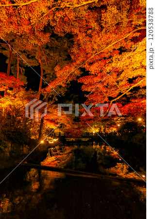岩屋堂公園のライトアップされた紅葉とせせらぎのリフレクション 岩屋堂公園のライトアップされた紅葉とせせらぎのリフレクション 120538788
