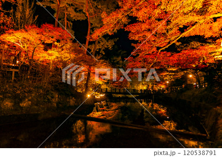 岩屋堂公園のライトアップされた紅葉とせせらぎのリフレクション 岩屋堂公園のライトアップされた紅葉とせせらぎのリフレクション 120538791